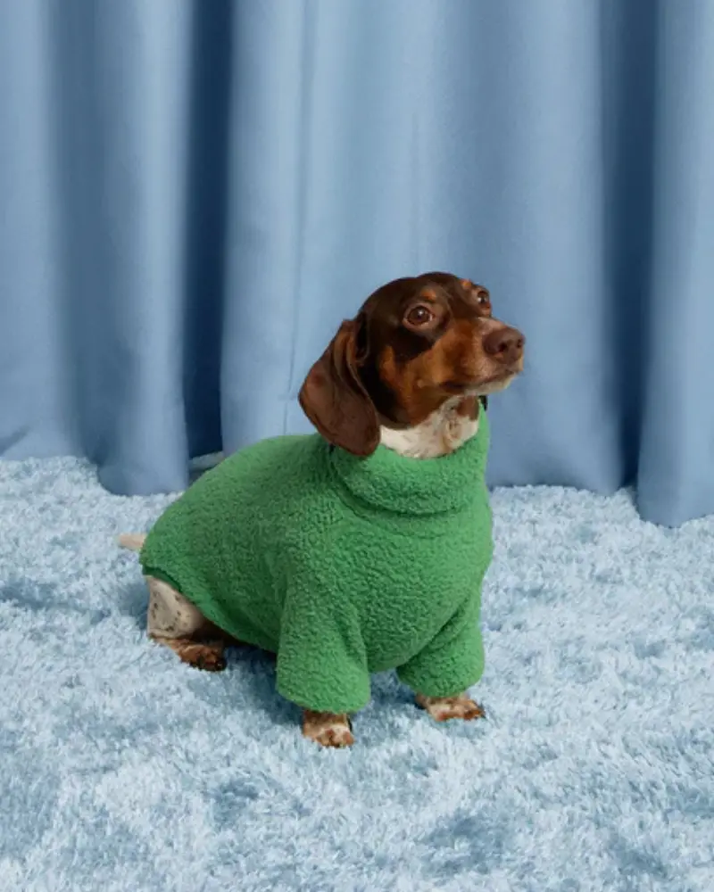 Mary Jane Fleece Dog Sweatshirt 1