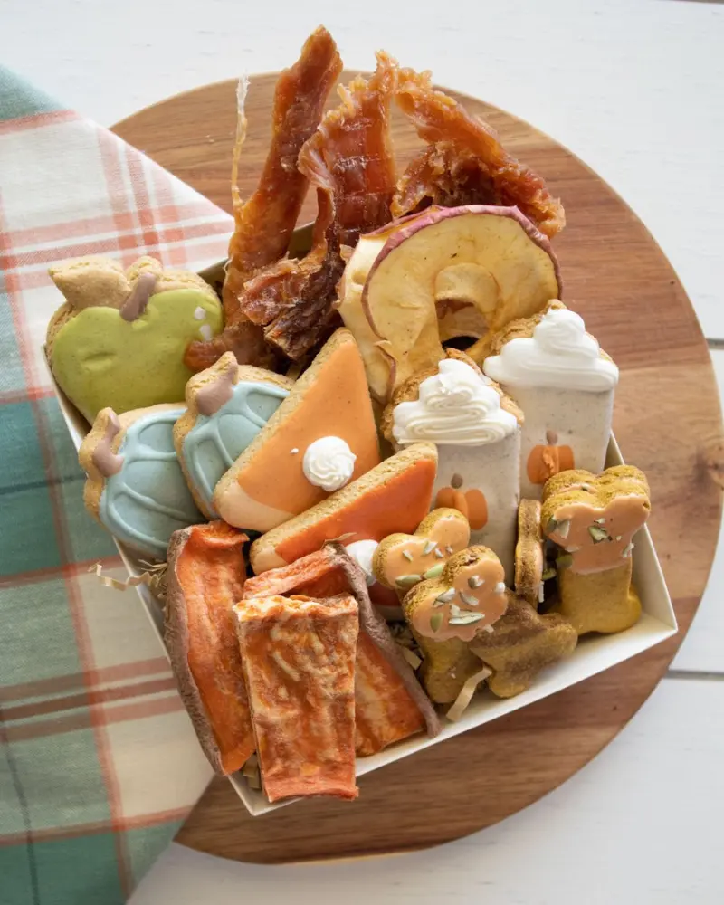 Pawtumn Harvest Dog Treat Box 1