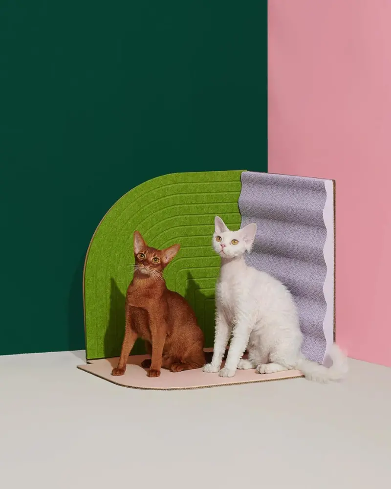 3-Dimensional Cat Scratcher 1