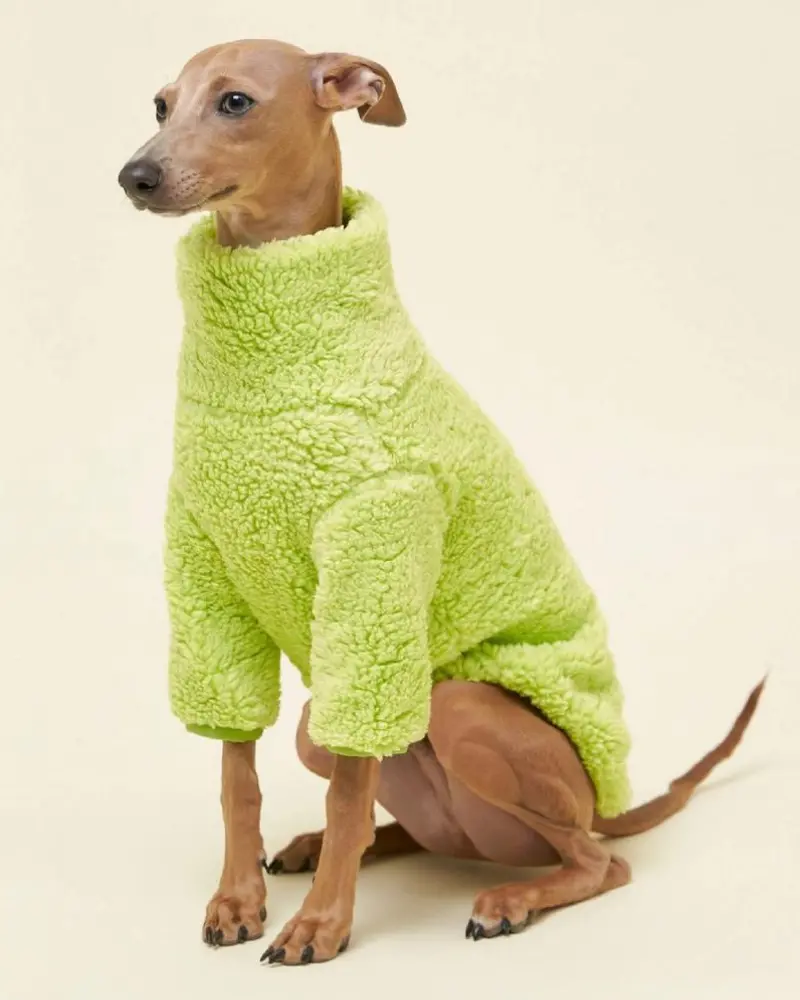 The Highlighter Fleece Sweatshirt (Final Sale) 2