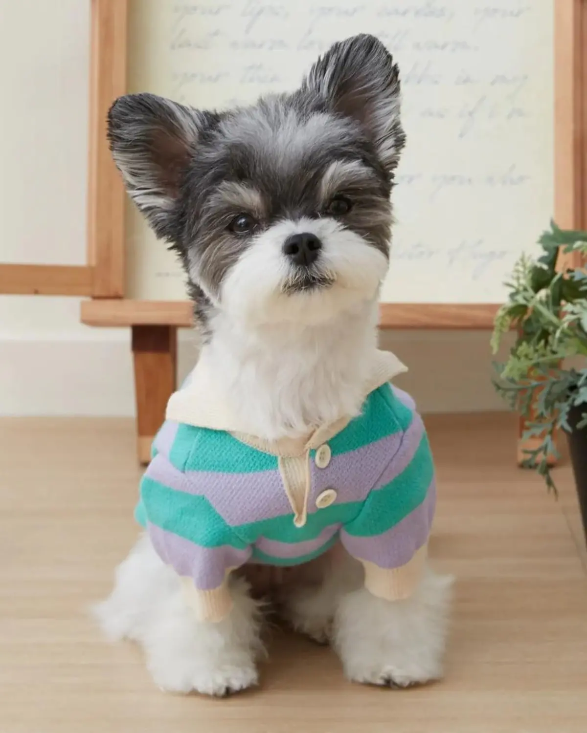Striped Rugby Knit Dog Sweater (Final Sale) 1