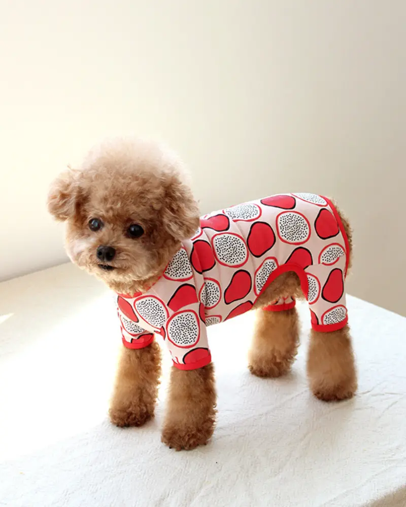 Dragonfruit Print Dog Onesie (Final Sale) 1
