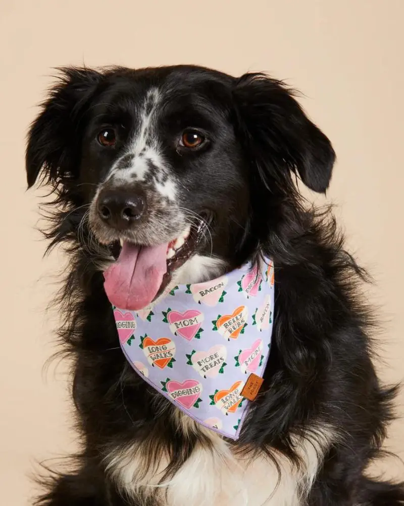 Love Language Dog Bandana (Final Sale) 2