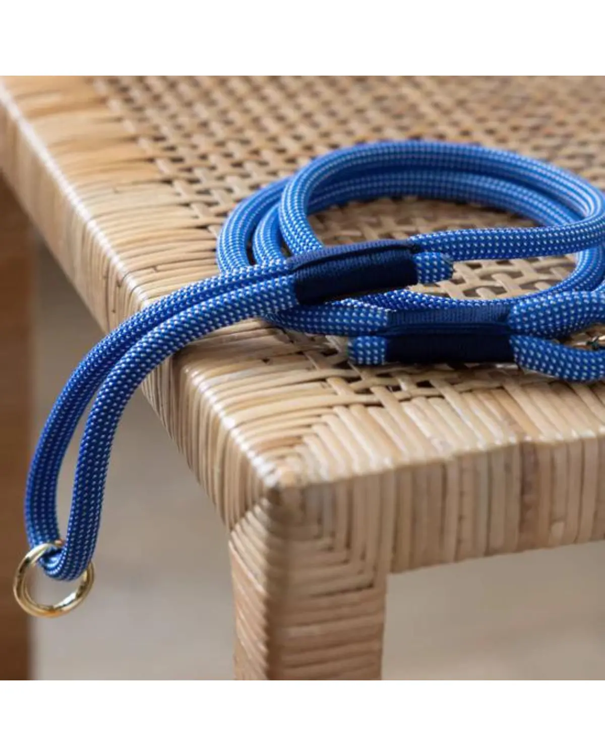 Climbing Rope Leash In Lagoon (Made In The Usa) 1