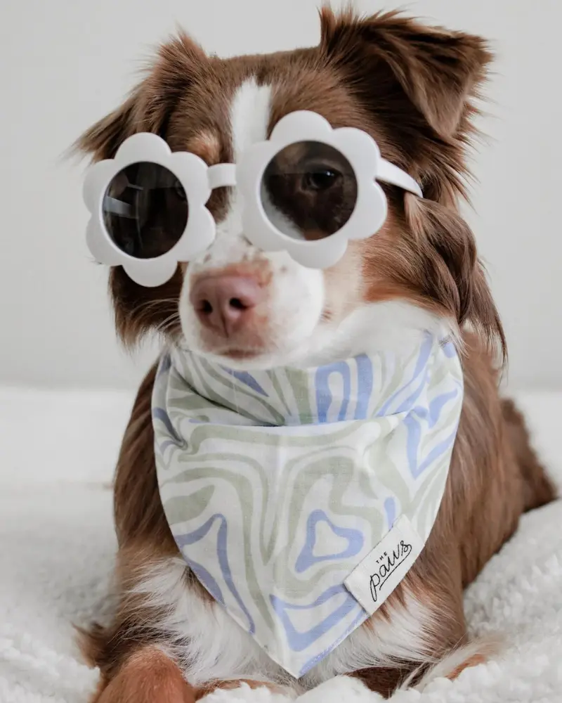 Yeah Baby Dog Bandana (Clearance) 1