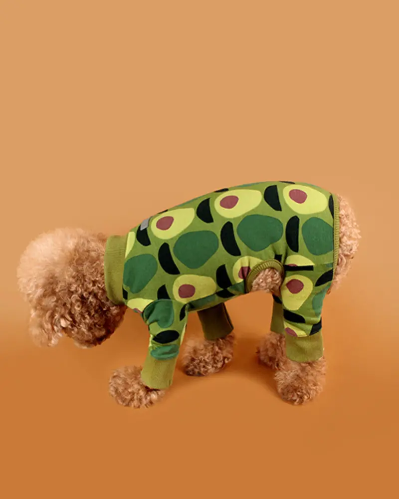 Avocado Print Dog Onesie 1