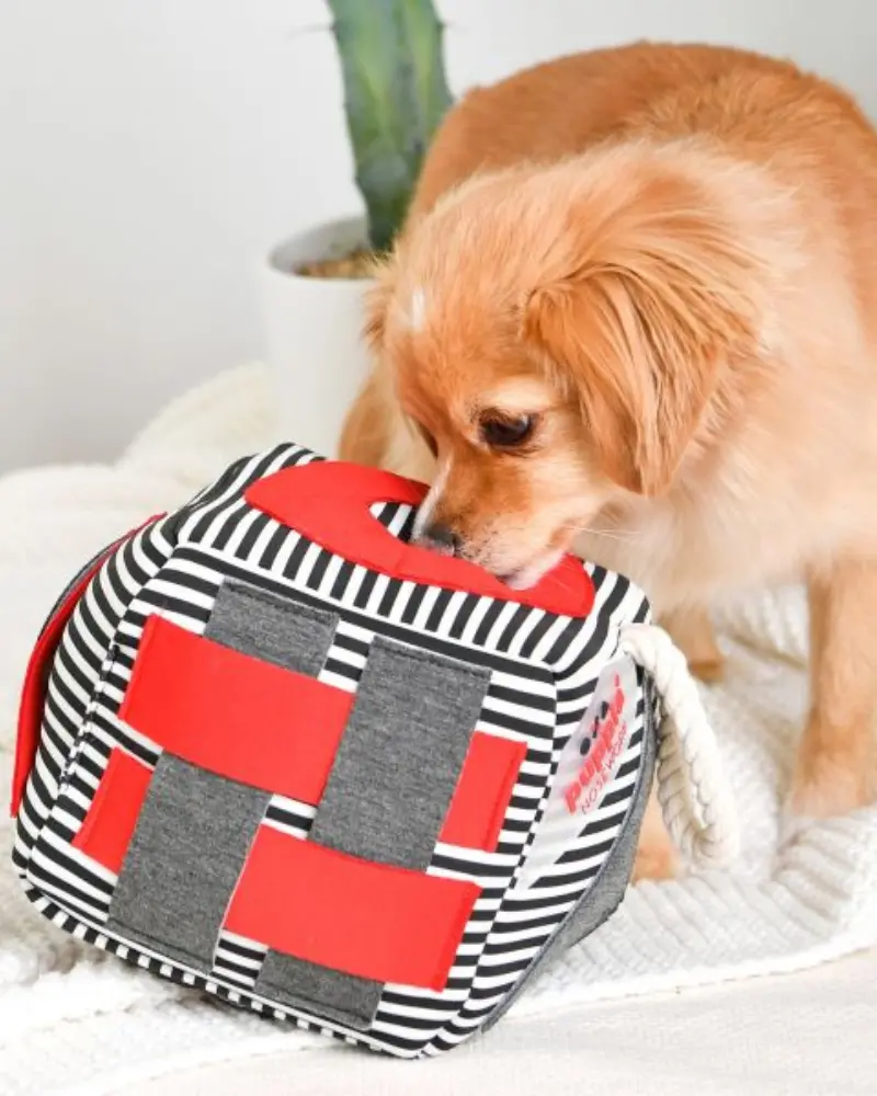 Roller Interactive Nosework Dog Toy In Stripe (Final Sale) 1