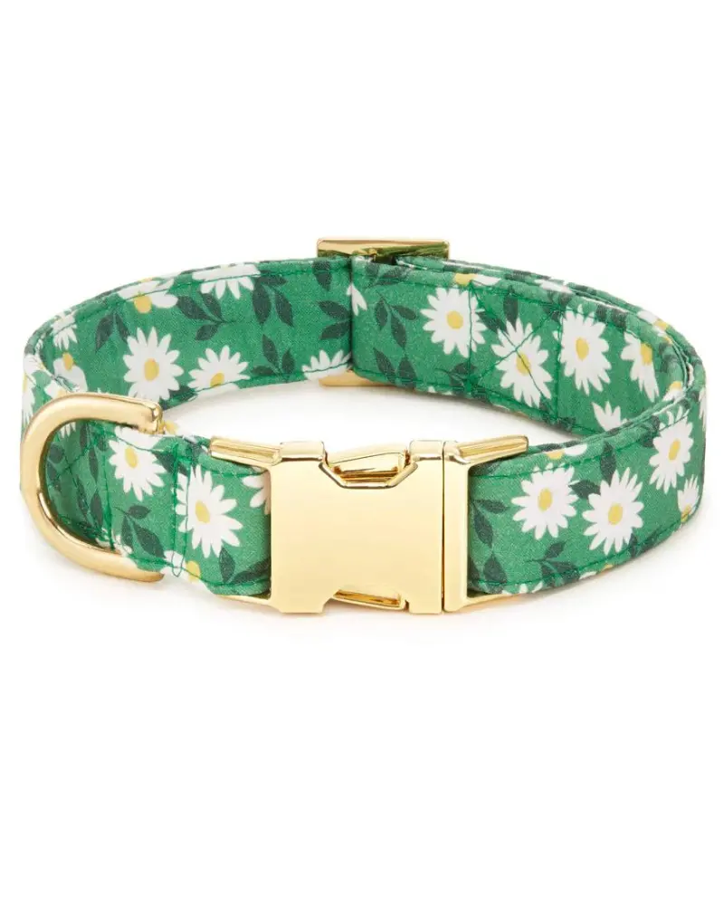 Coming Up Daisies Dog Collar<Br>(Made In The Usa) 1