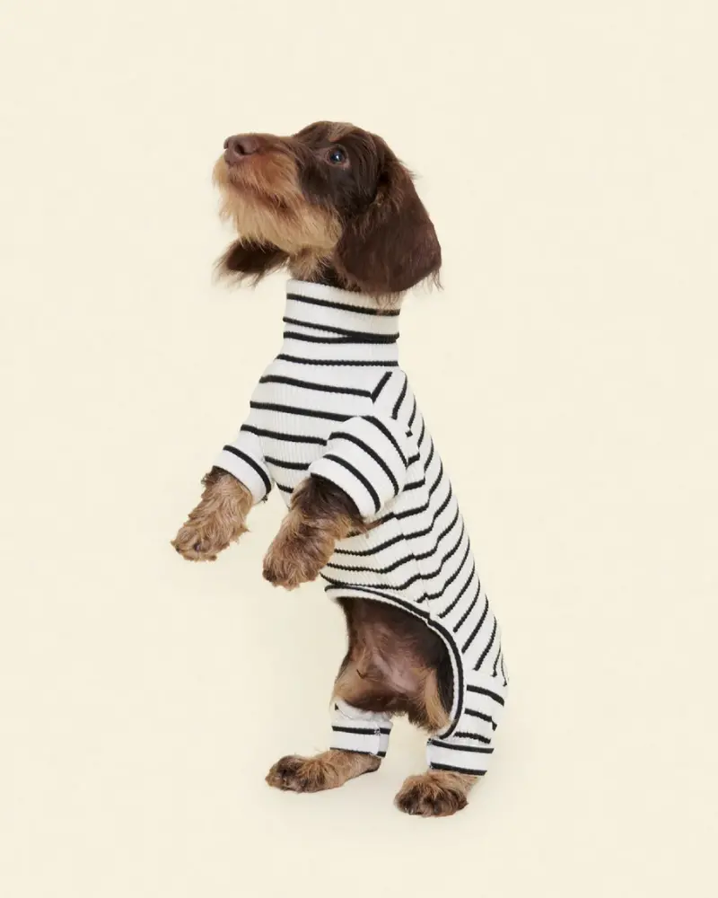 World's Your Oyster Dog Onesie 1