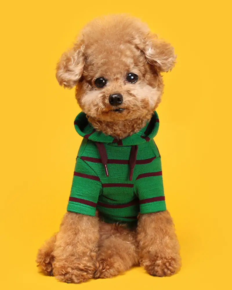 Stripe Dog Hoodie (Final Sale) 1