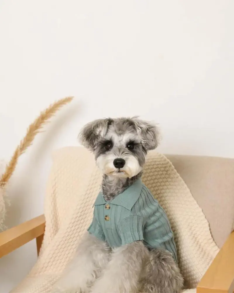 Rib Knit Dog Polo 1