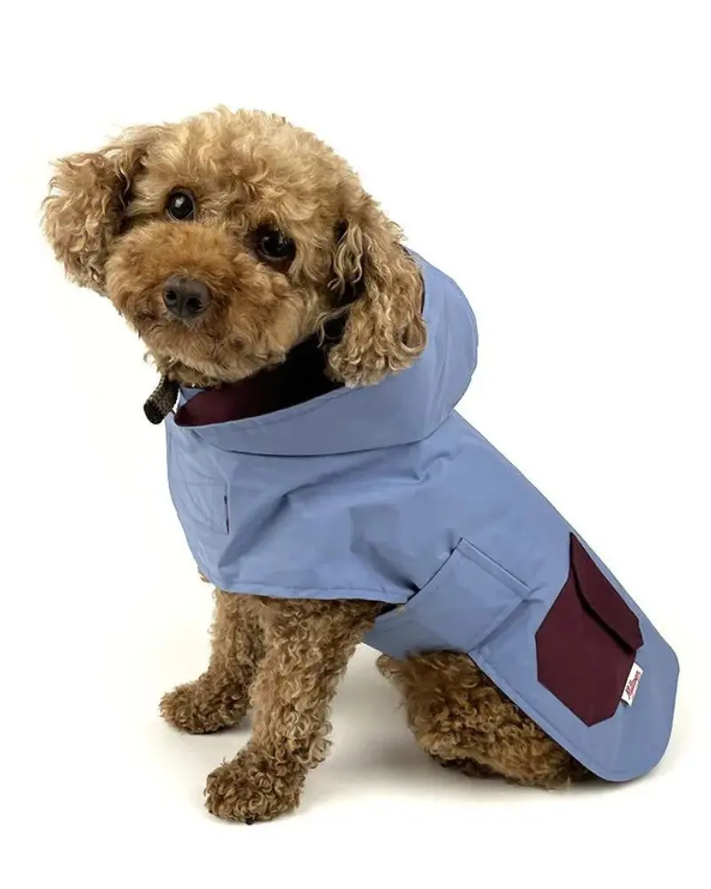 Reversible Rain Coat In Blue & Cabernet (Final Sale) 1