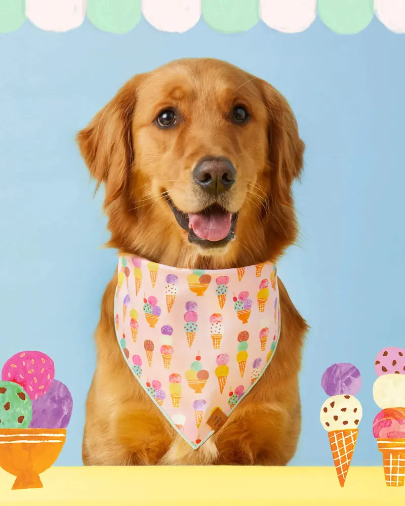 Sundae Fundae Dog Bandana (Made In The Usa) (Final Sale) 1