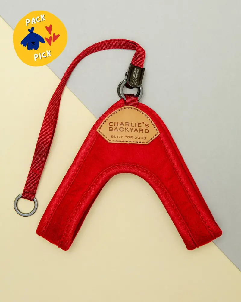 Adjustable Easy Dog Harness In Red 1
