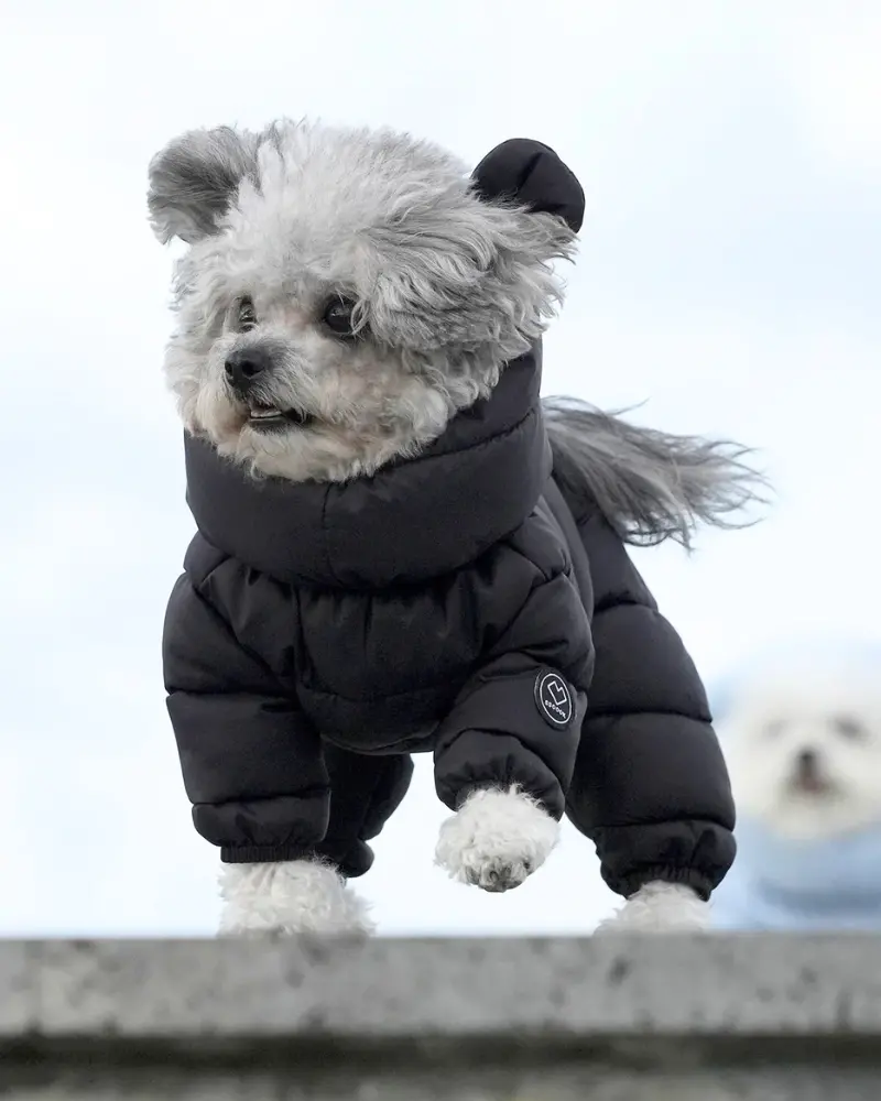 Padded Goosefeel Winter Coverall For Dogs 1