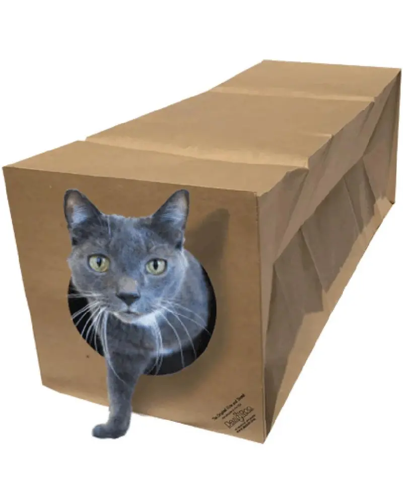 Hide And Sneak Cat Toy Tunnel (Made In The Usa) 1