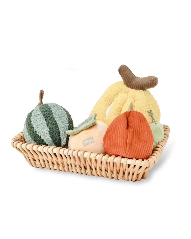 Fruit Enrichment Snuffle Dog Toy Set 1