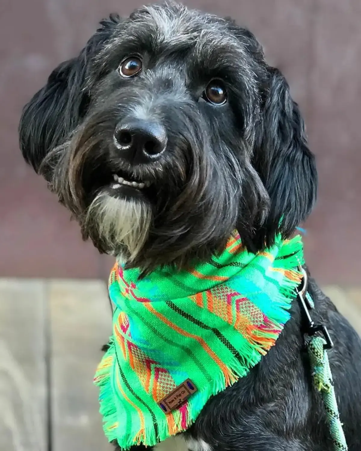 Aztec Boho Dog Bandana (Final Sale) 1