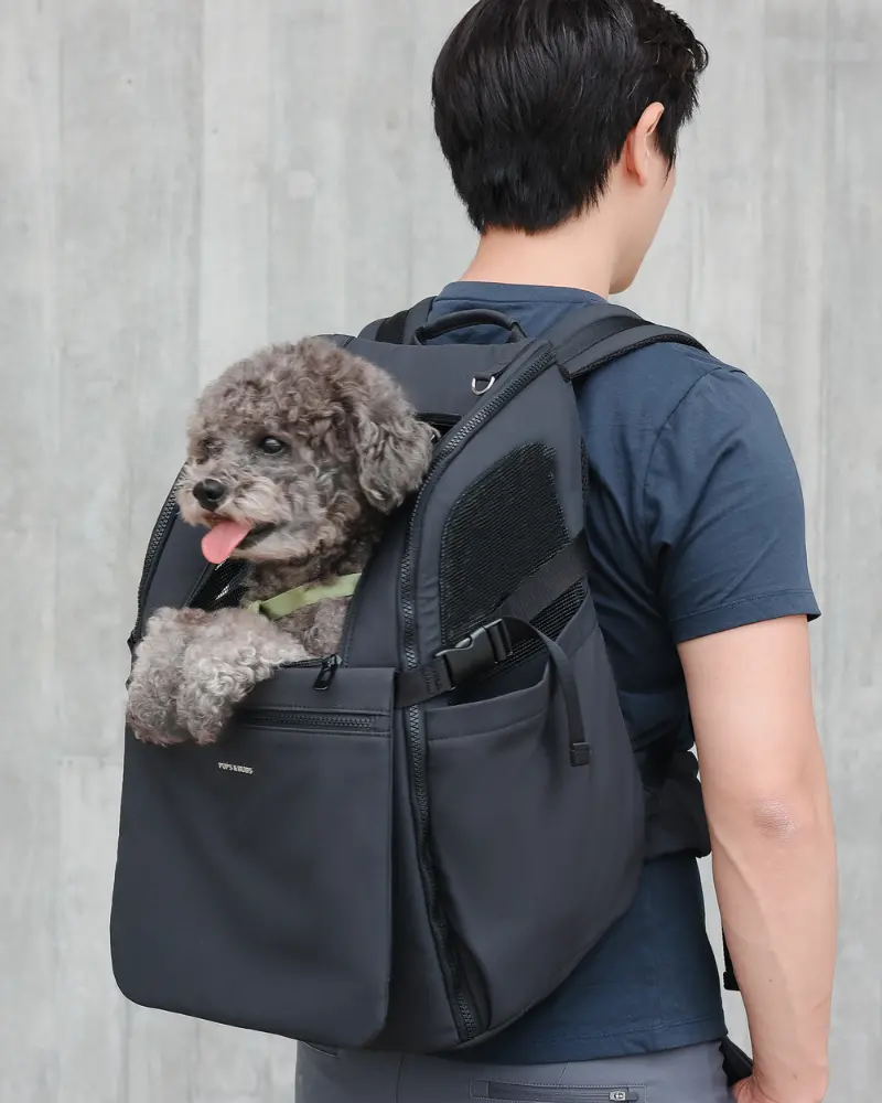 Travel Pet Carrier Backpack 1