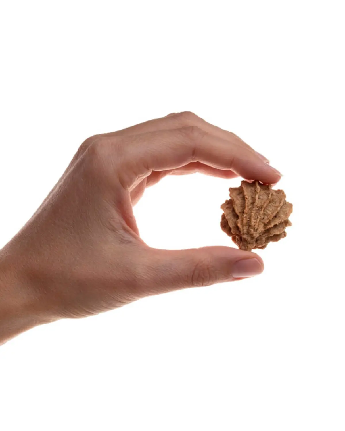 Beef And Apple Cookie Treats For Dogs (Made In The Usa) 2