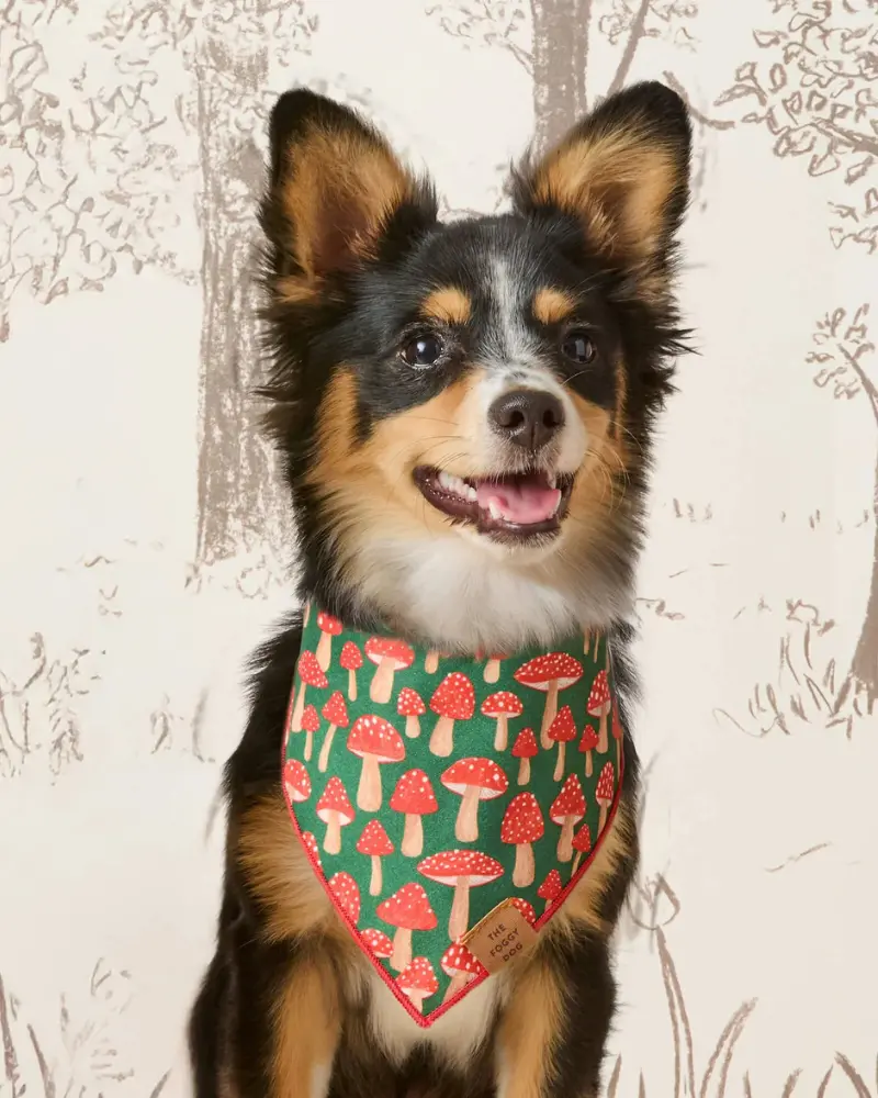 Mushroom Meadow Cotton Dog Bandana (Made In The Usa) (Final Sale) 1