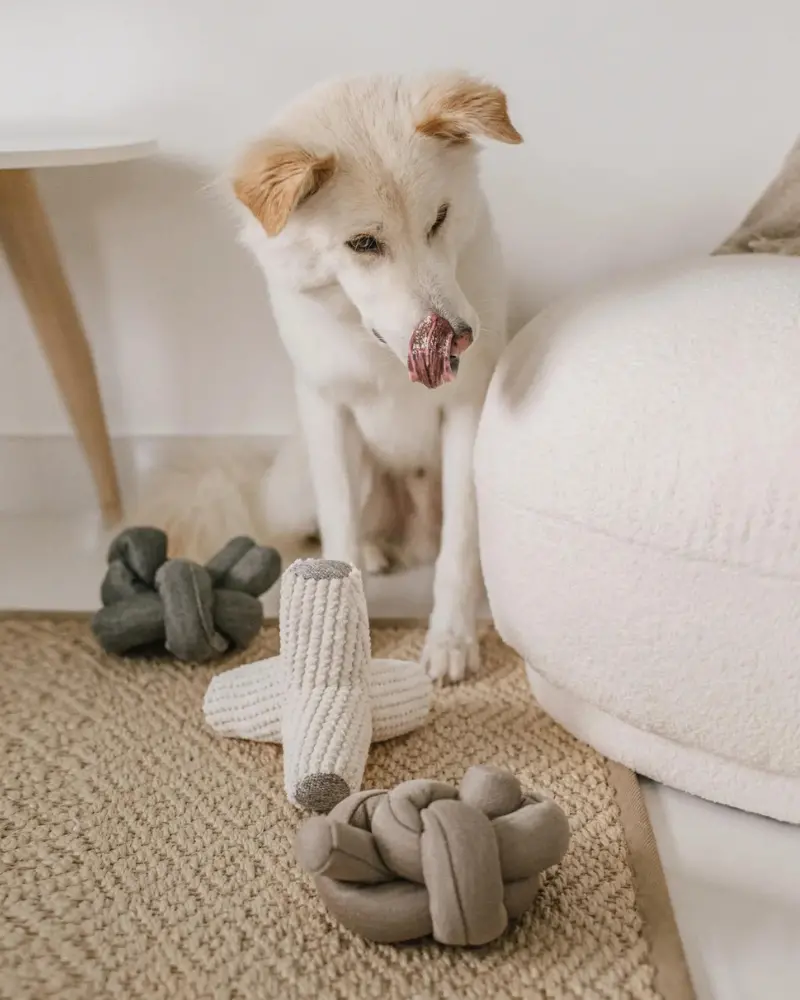 Nou Interactive Silent Dog Toy In Tan 1