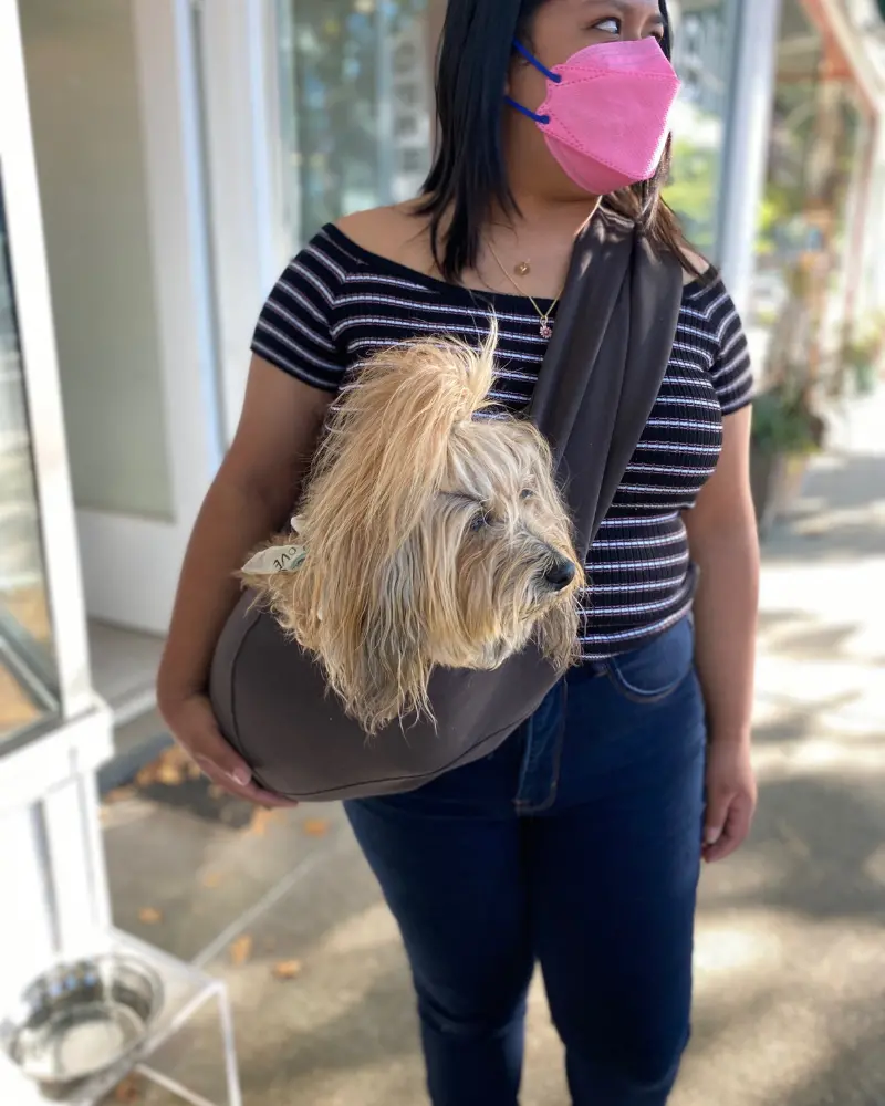 Basic Sling In Mocha For Dogs 1