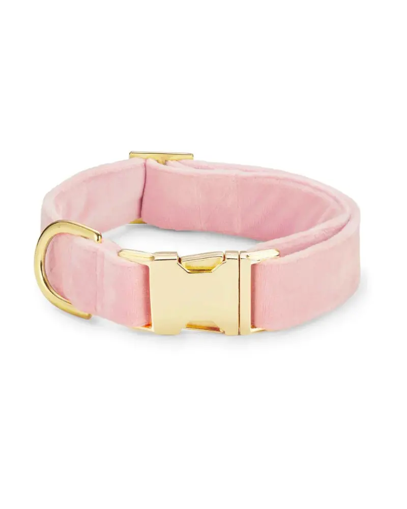 Blush Pink Velvet Dog Collar (Made In The Usa) 1