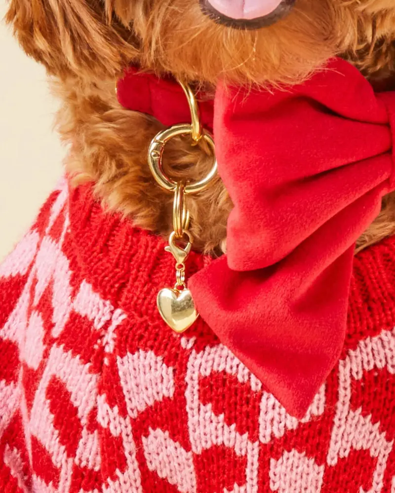 Heart Of Gold Collar Dog Charm 2