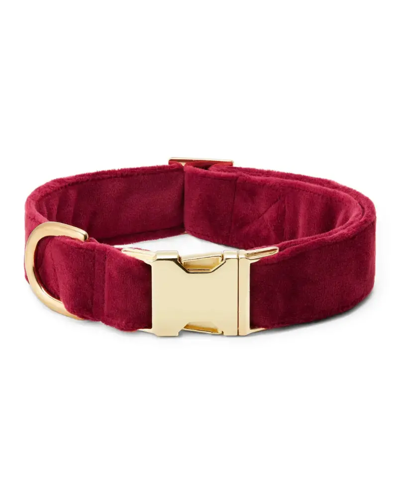 Burgundy Velvet Dog Collar 1