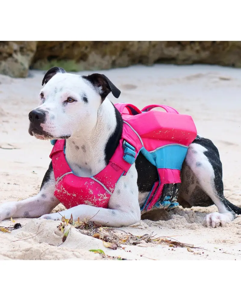Monterey Bay Offshore Dog Life Jacket In Sunset Pink 5