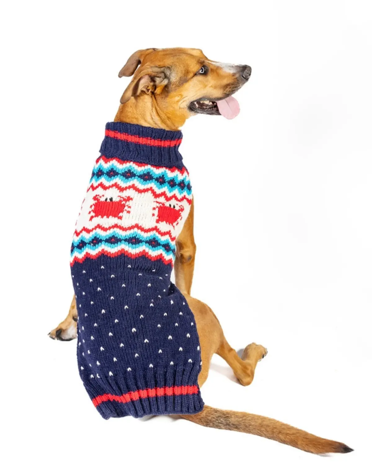 Crabby Coast Wool Dog Sweater (Final Sale) 1