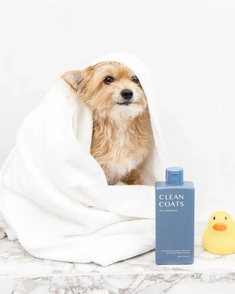 Sensitive Dog Shampoo (Fragrance Free) (Final Sale) 1