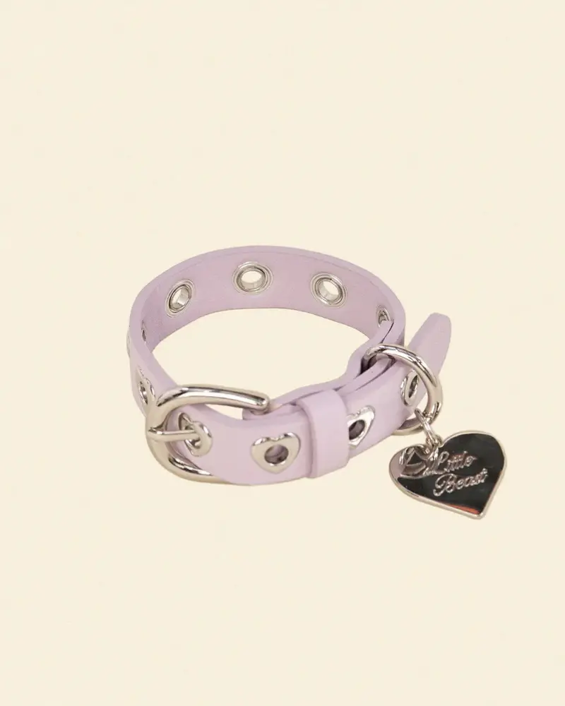 You Mean The World To Me Dog Collar In Lilac 1