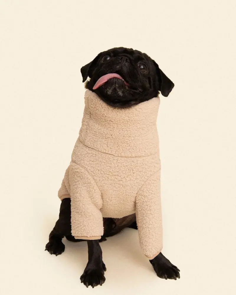 The Pablo Fleece Dog Sweatshirt (Final Sale) 1