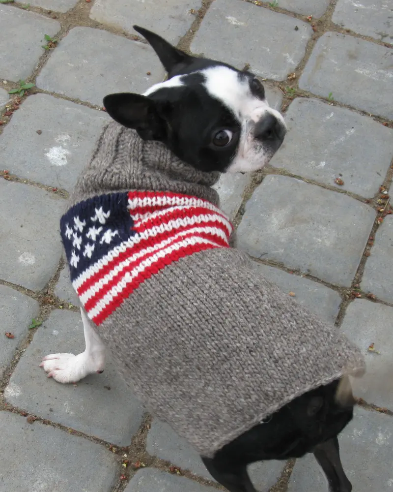 Flag Wool Dog Sweater (Final Sale) 1