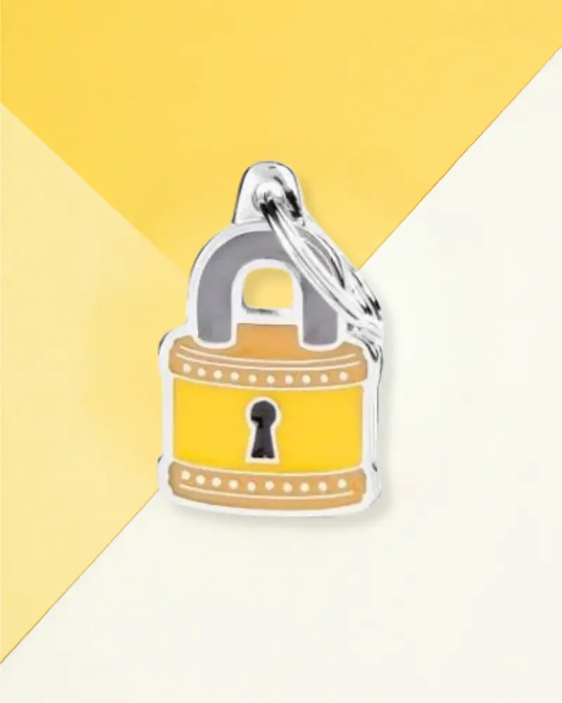 Padlock Custom Pet Id Tag 1