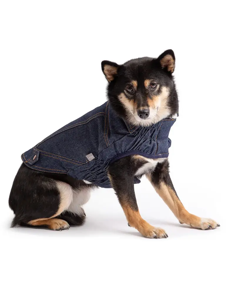 Dark Denim & Shearling Dog Jacket (Final Sale) 1