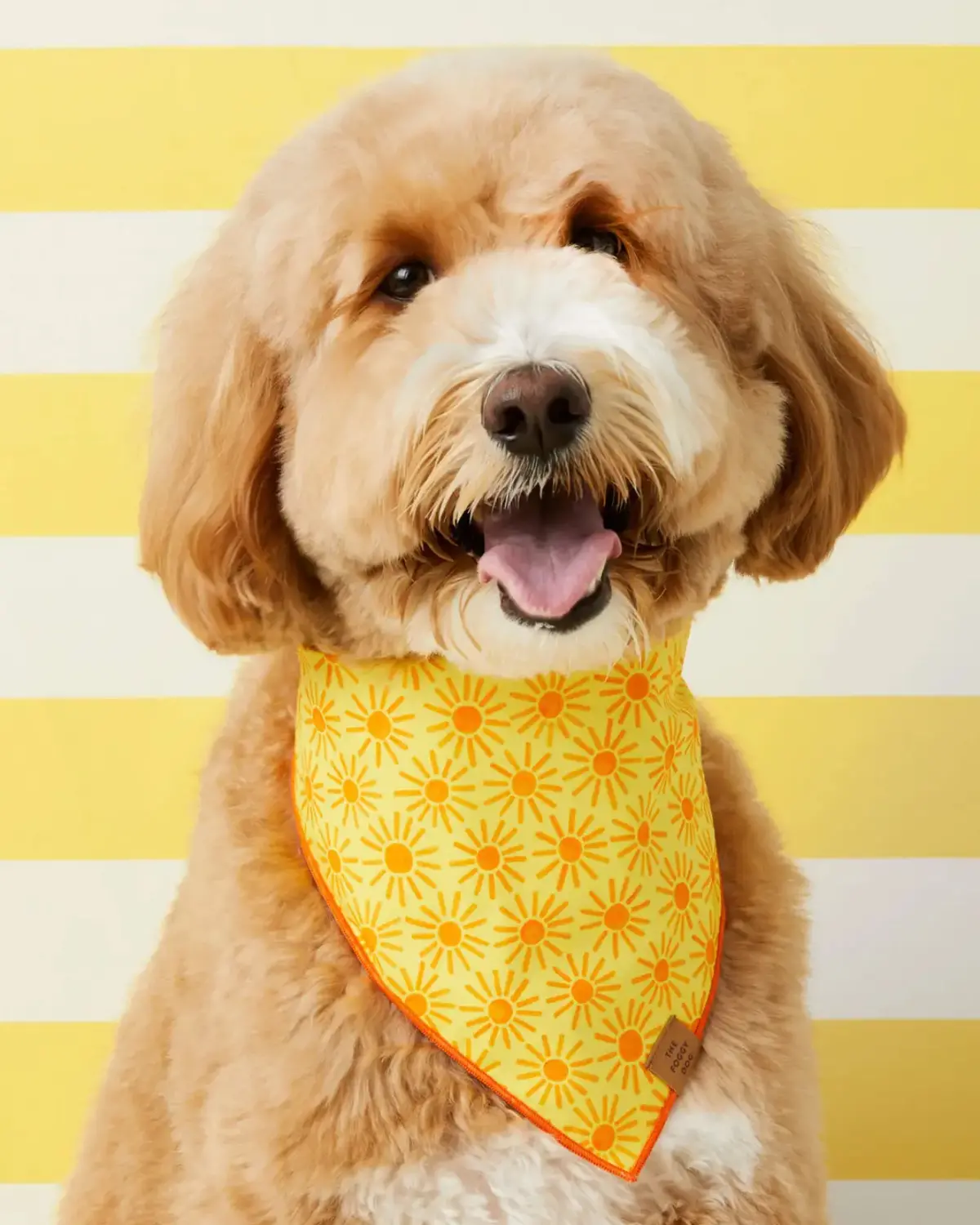 Here Comes The Sun Dog Bandana (Made In The Usa) (Final Sale) 1