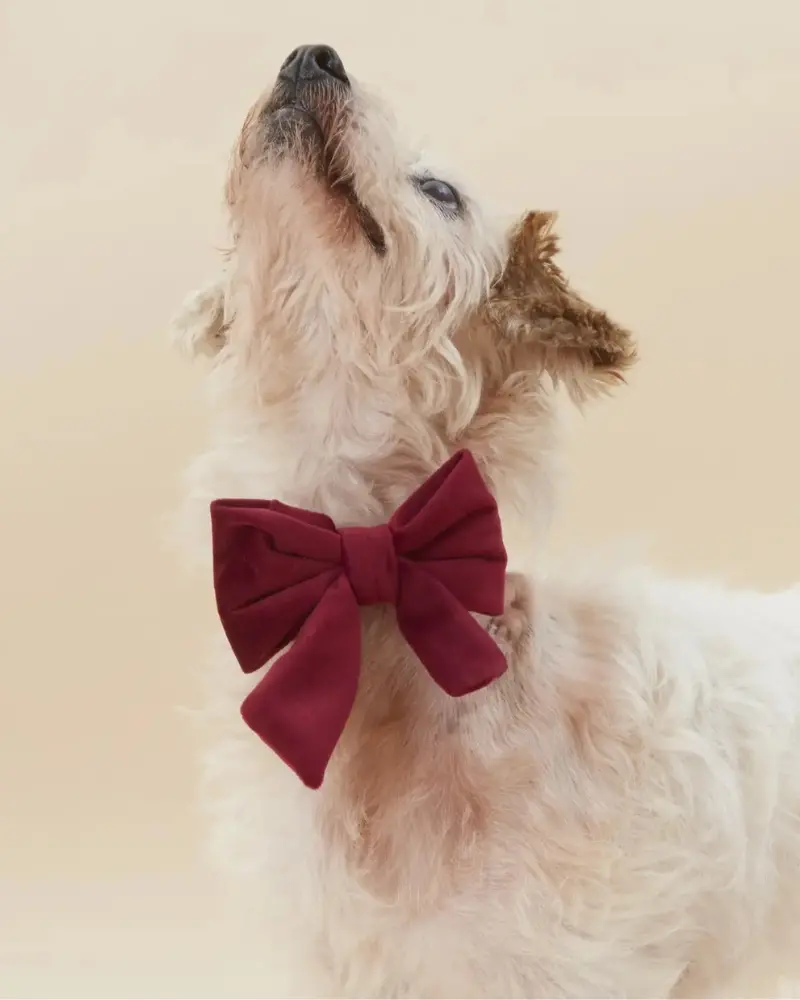 Burgundy Velvet Sailor Dog Bow Tie 1