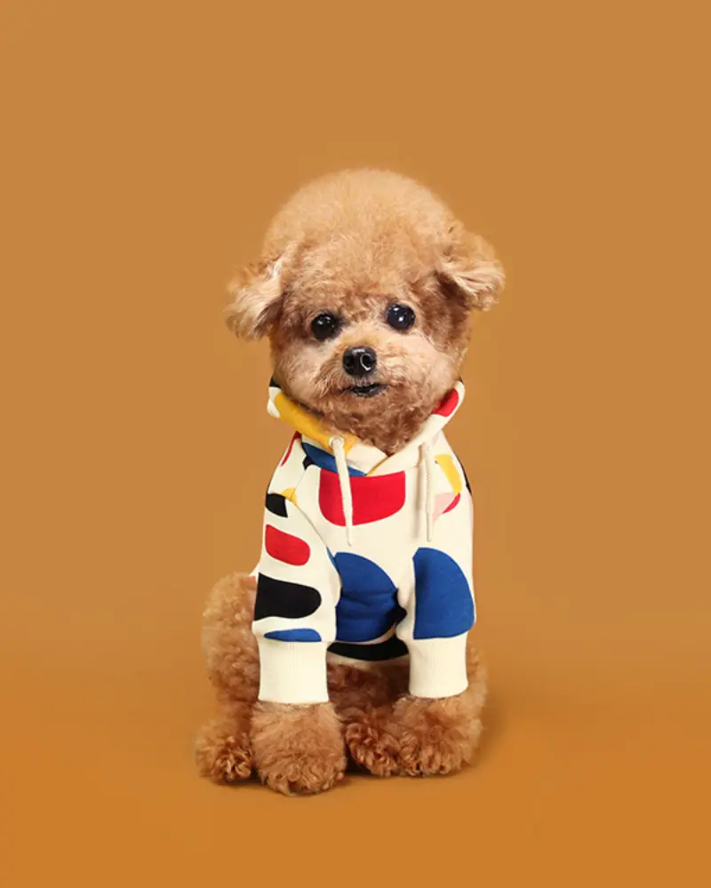 Colorful Design Dog Hoodie In Ivory 1