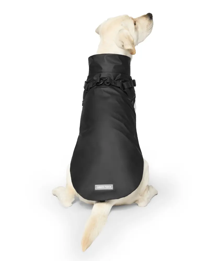 2-In-1 Dog Harness Raincoat In Black 1