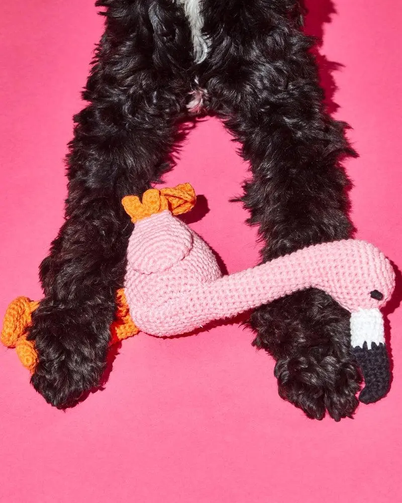 Hand Crochet Flamingo Dog Toy 1