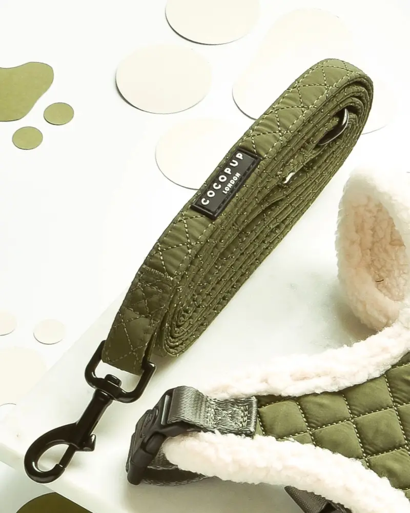 Quilted Dog Leash In Khaki (5Ft) 1