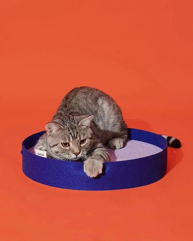 Colorful Round Cat Scratcher 1