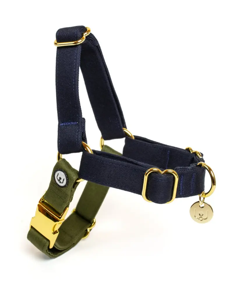 Adjustable No-Pull Dog Harness In Navy & Olive 1