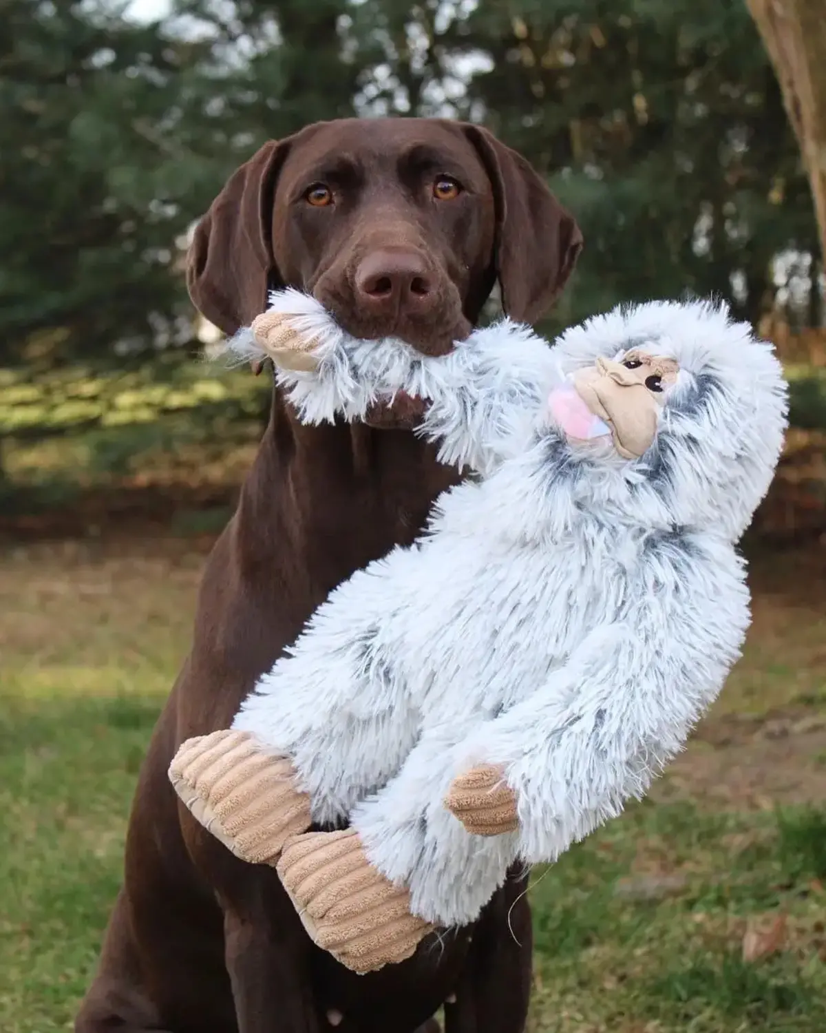 Yeti Squeaky Plush Dog Toy 1