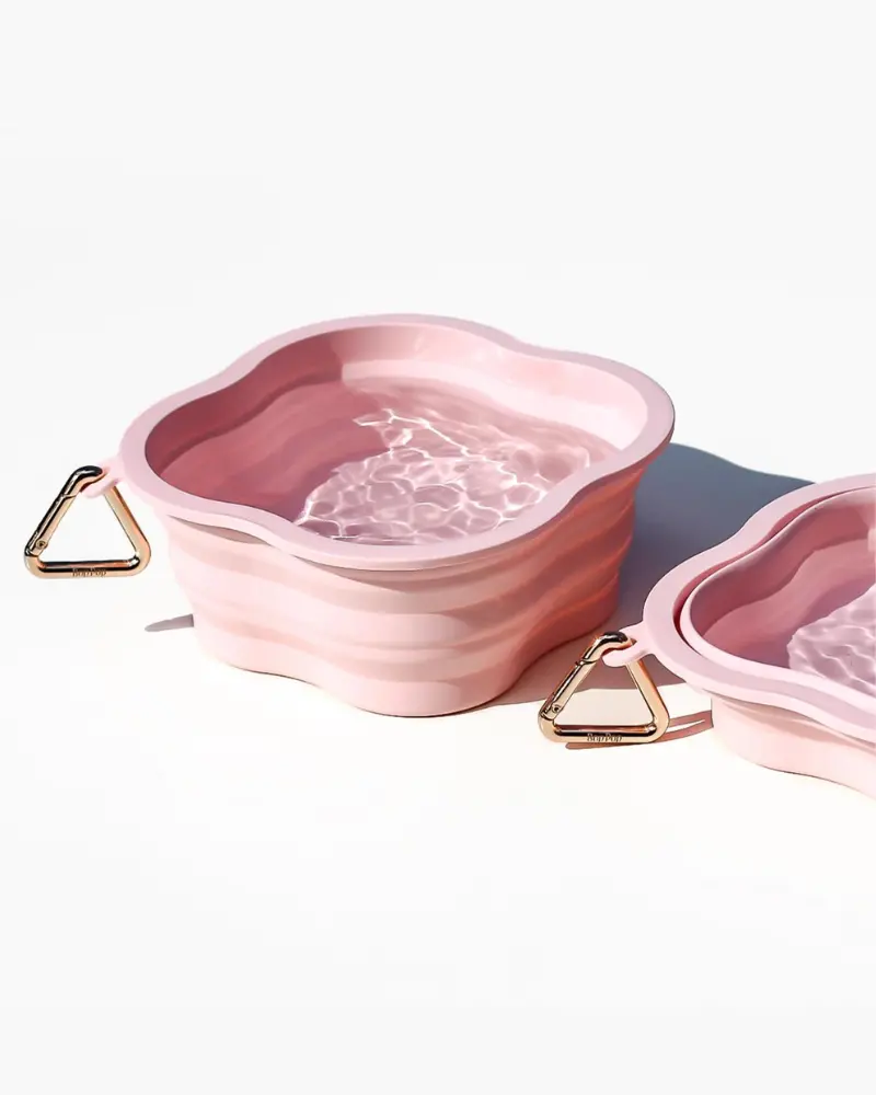 Collapsible Silicone Water Bowl 2