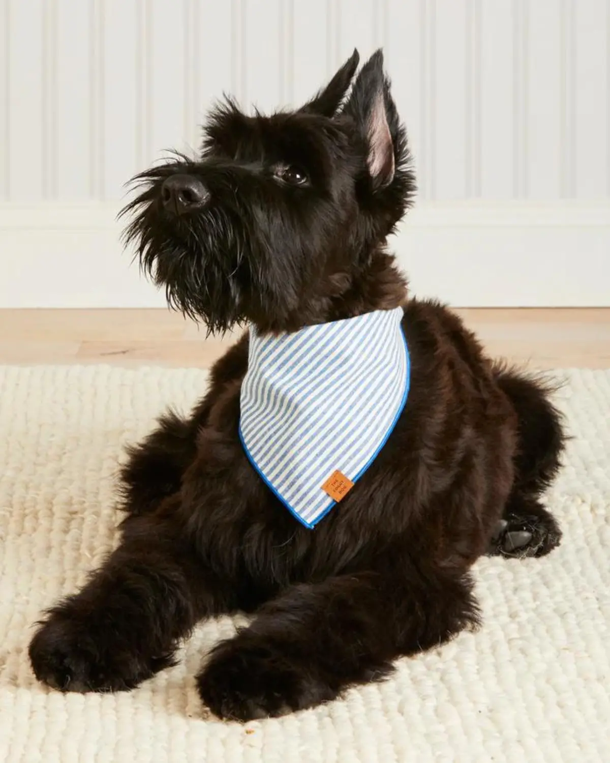 Lake Blue Stripe Spring Dog Bandana (Made In The Usa) 1