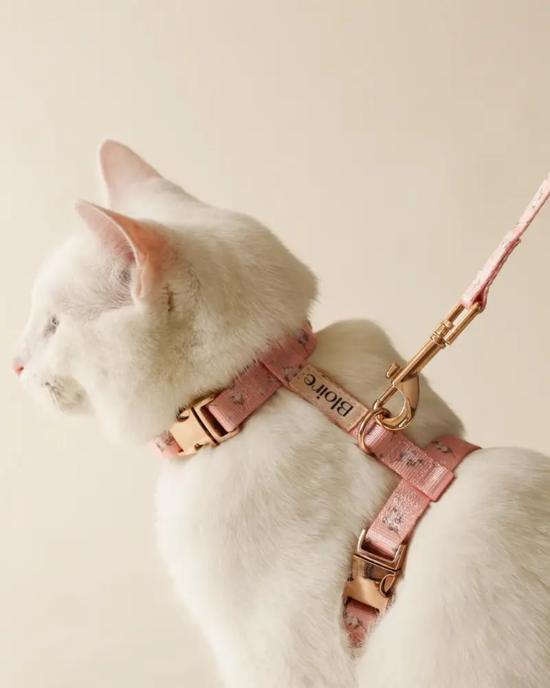 Meadow Matching Cat Harness & Leash Set 1